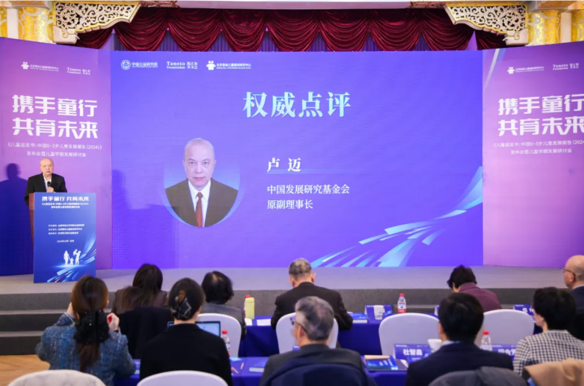 卢迈发言